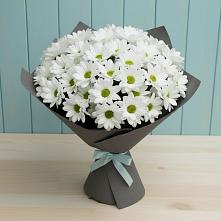 Букет цветов из:  Хризантемы в Понежукай